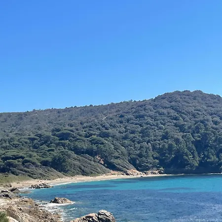 Rez De Maxime Semaphore Cours De Yoga