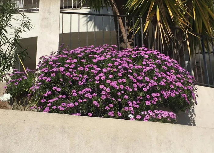 Rez De Maxime Semaphore Cours De Yoga 아파트