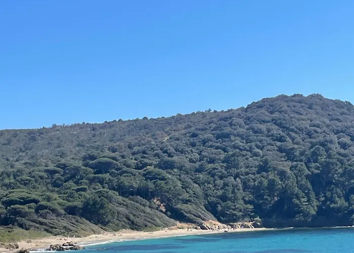 Rez De Maxime Semaphore Cours De Yoga