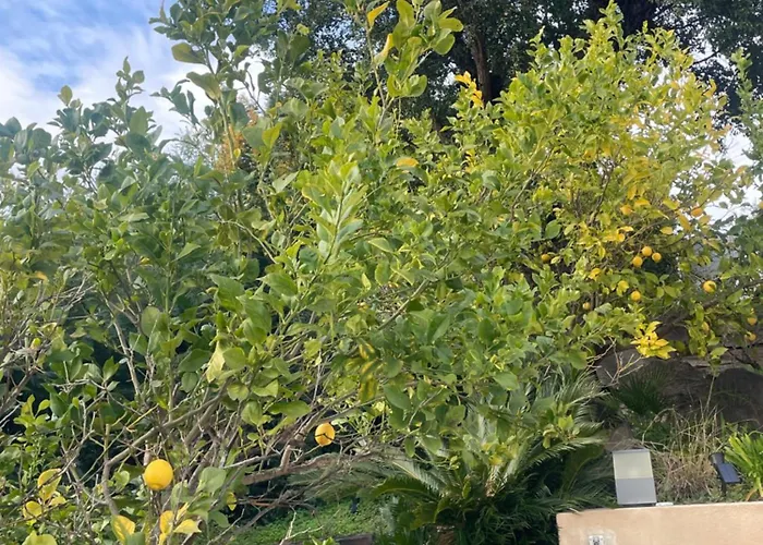 Rez De Maxime Semaphore Cours De Yoga *