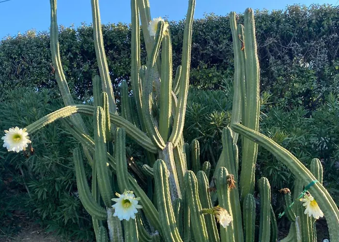 Apartament Rez De Maxime Semaphore Cours De Yoga *
